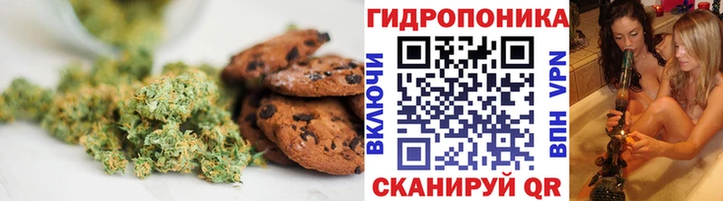 Canna-Cookies конопля  Купить  Гуково 