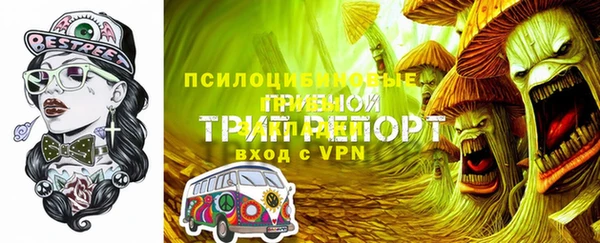 мдпв Володарск