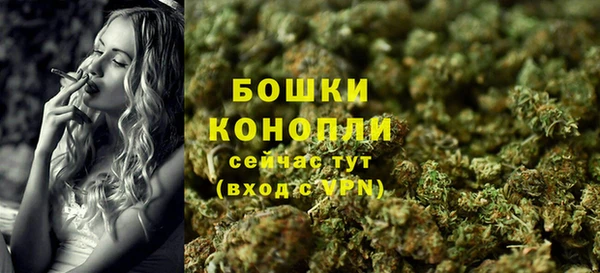 мдпв Володарск