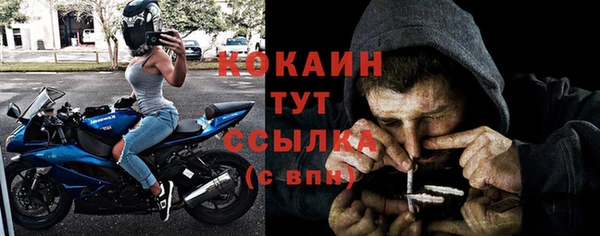 мдпв Володарск