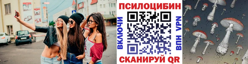 Купить где  Гуково  Псилоцибиновые грибы мицелий 